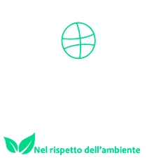 logo-world-service-bcolor